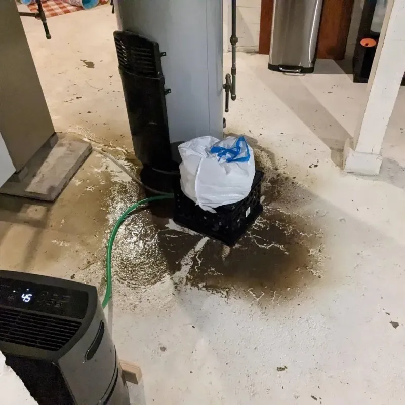 Sewage Backup Cleanup Service in Coraopolis, PA